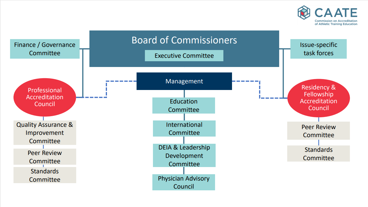 CAATE Gov't Structure